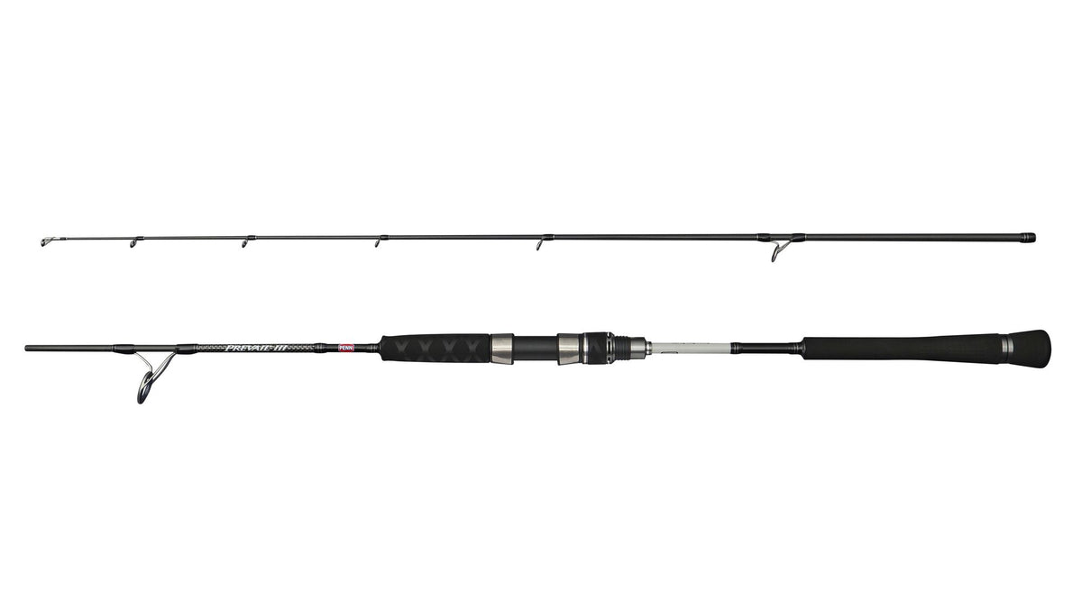 PENN Prevail III Jigging Spin – 1643365.jpg