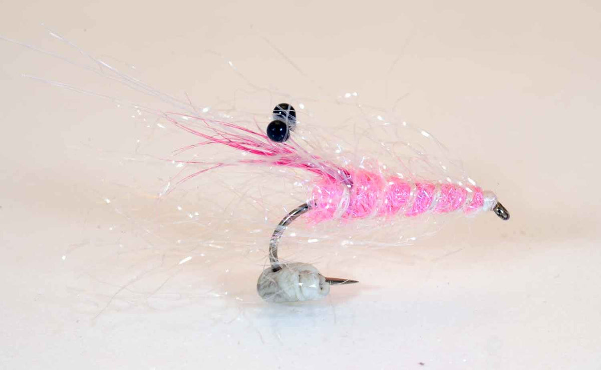 Panikgarnele Rosa Küstenfliege