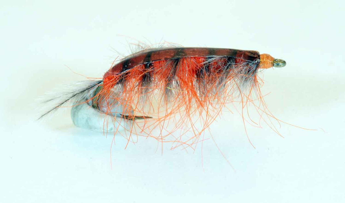 Die Orange Coast Fly