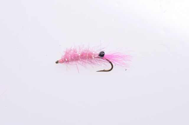 Glitzernde Garnelen, Rosa Nr. 8