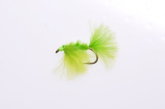 Grüne Meeräschenfliege Nr. 6