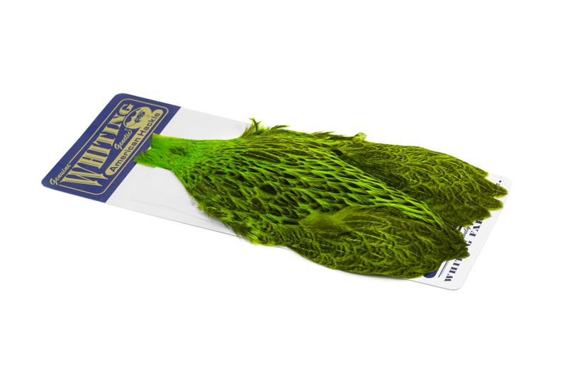 Whiting American Hen Cape – dealerweb-cms-8e30943b-3ee9-4f9e-a292-b890a70d8503.jpg