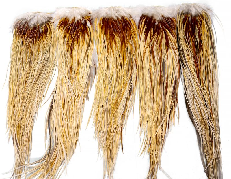 Whiting Heritage Rooster Saddle – dealerweb-cms-bb3fd5a8-3f0e-4561-97c8-ac44263a5221.jpg