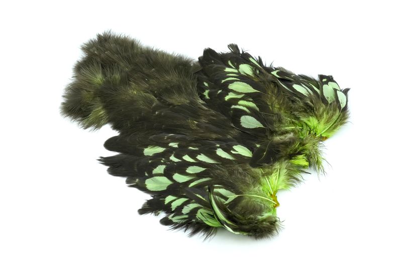 Whiting American Hen SH/C – dealerweb-cms-eb56de1b-a709-406a-8f81-cfc288aa69ff.jpg