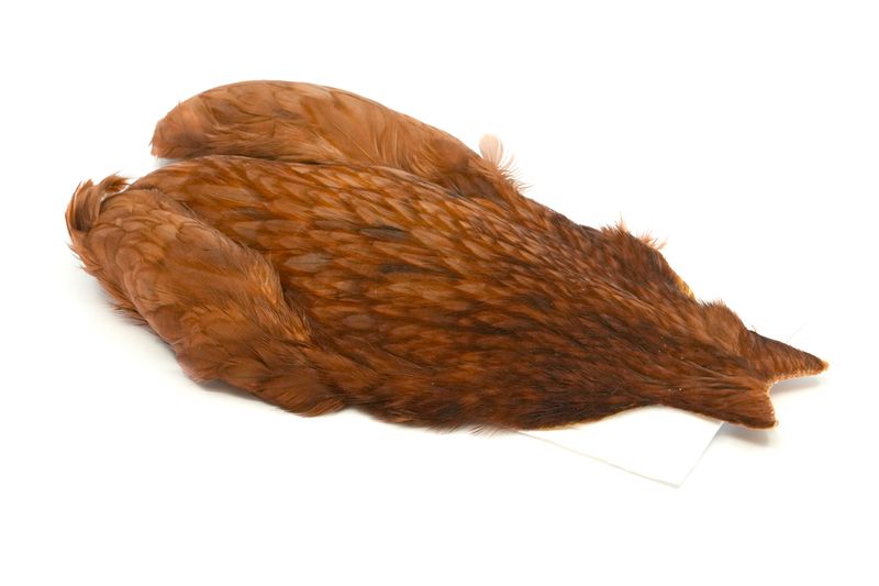 Whiting 4 B's Hen Cape – dealerweb-cms-f7c0309b-526c-422b-8c37-708693a34ec3.jpg
