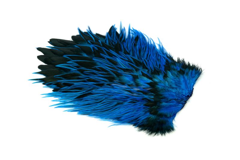 Whiting Brahma Rooster Saddle – dealerweb-cms-ffd920d2-681c-4221-9247-58130ebe3023.jpg