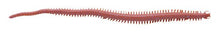 Berkley Gulp!® Sandworm (Néréïs) â€“ 1109382.jpg