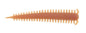 Berkley Gulp!® Saltwater Sandworm â€“ 1130719_1.jpg