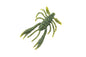 Berkley Gulp!® Saltwater Crabby â€“ 1504721.jpg