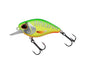 Berkley DEX Thumper â€“ 1590328.jpg
