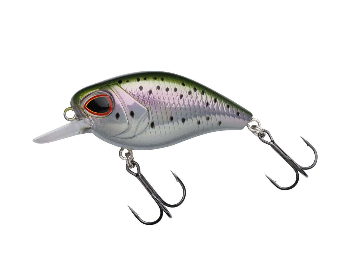 Berkley DEX Thumper â€“ 1621008.jpg