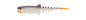 Savage Gear Cannibal Minnow V-Tail Bulk â€“ 1625401.jpg