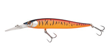 Berkley DEX Stunna 100 Plus2 â€“ 1639942.jpg