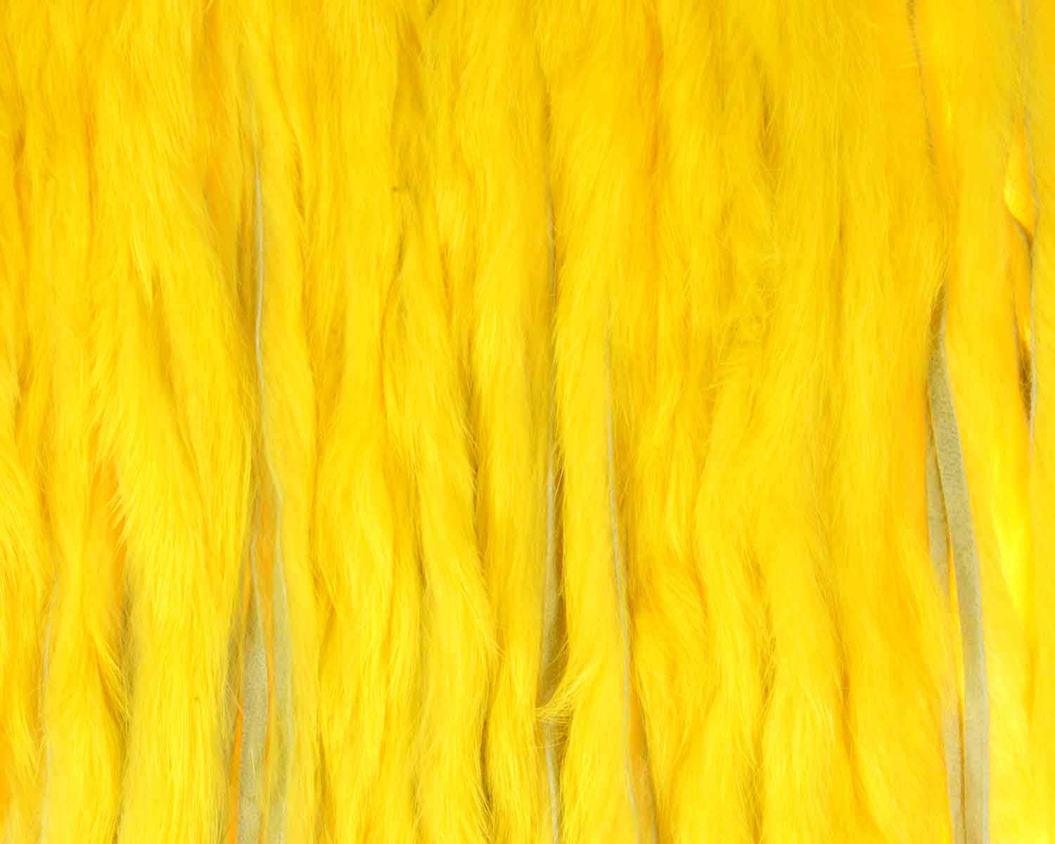 410111_web.jpg