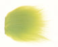 430545_web.jpg