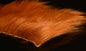603022.jpg
