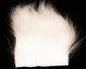 603302_web.jpg