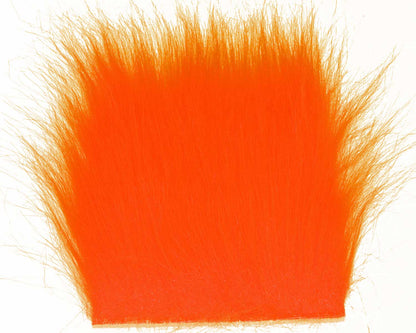 603312_web.jpg