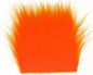 603312_web.jpg