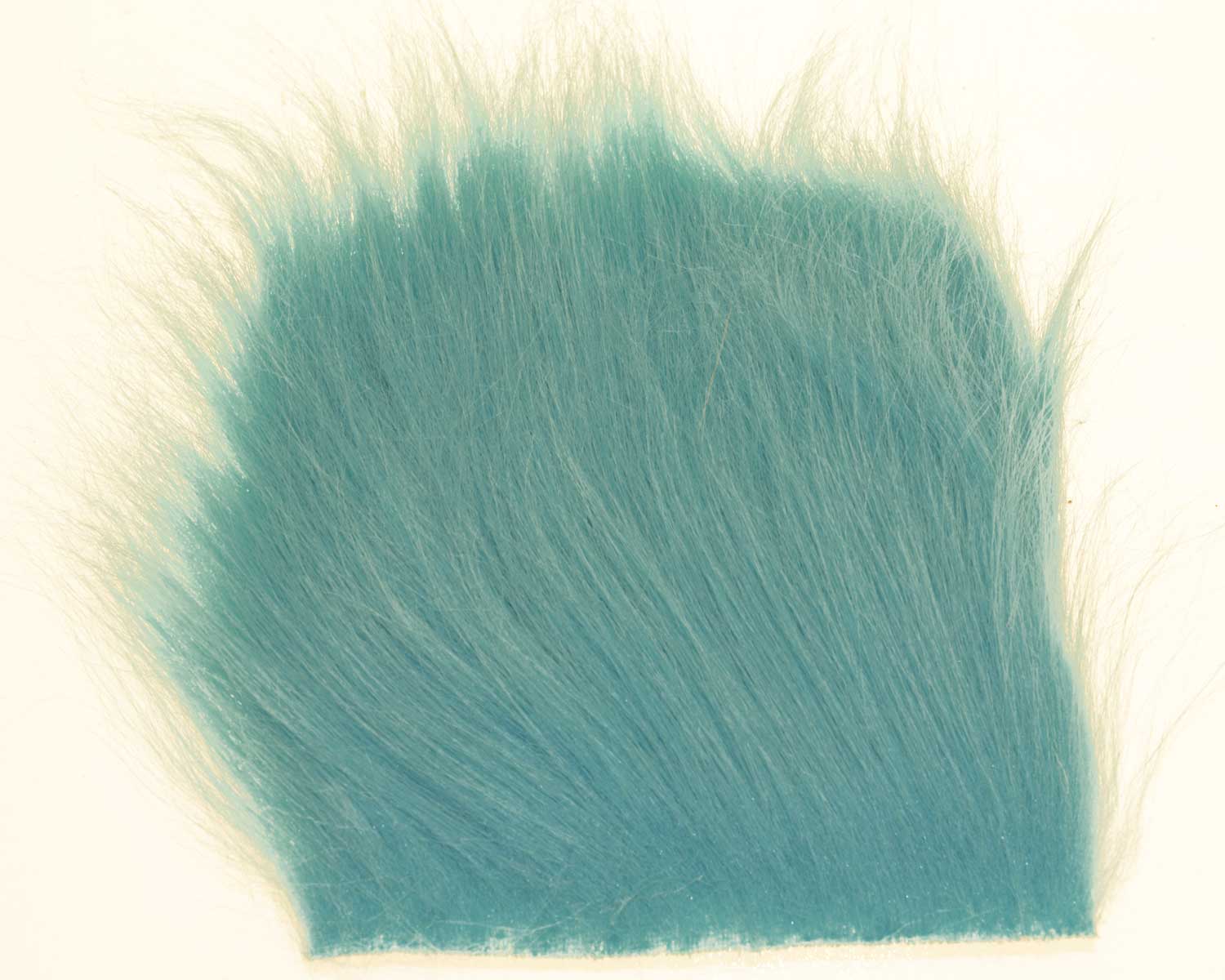 603314_web.jpg
