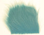 603314_web.jpg