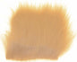 603328_web.jpg