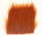603339_web.jpg