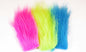 603399_web.jpg