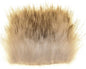603402_web.jpg