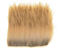 603418_web.jpg