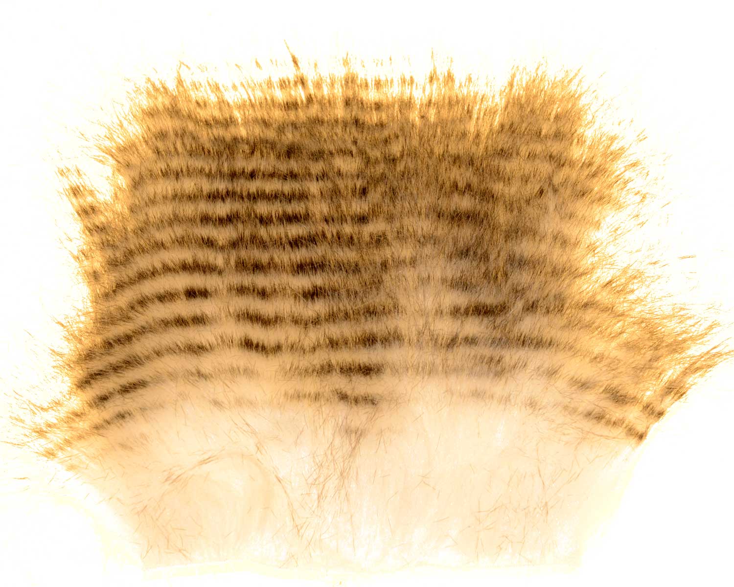 603502_web.jpg