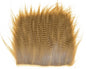 603518_web.jpg