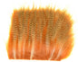 603522_web.jpg