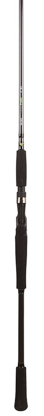 BFT Raptor G2 Hecht Multi 8' -100g