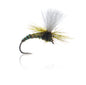 AJF_300102.jpg
