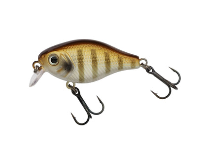 Berkley Pulse Fry Shallow â€“ BerkleyPulseFryShallow_1571661.jpg