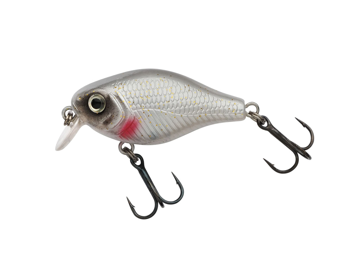 Berkley Pulse Fry Shallow â€“ BerkleyPulseFryShallow_1571665.jpg