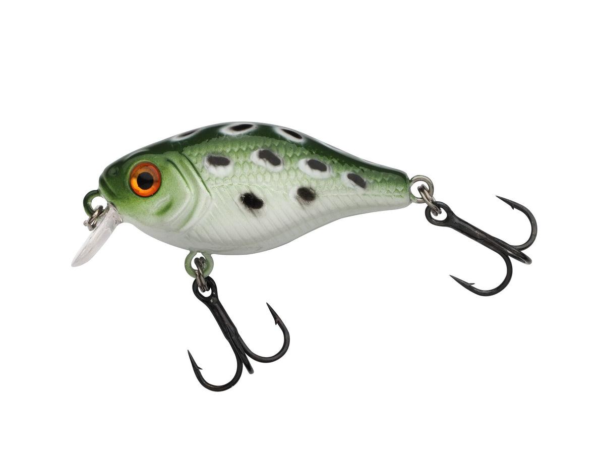 Berkley Pulse Fry Shallow â€“ BerkleyPulseFryShallow_1571666.jpg