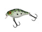 Berkley Pulse Fry Shallow â€“ BerkleyPulseFryShallow_1571666.jpg