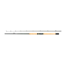 Daiwa Procaster 8,6 Fuß 2-teilige Trolling-Rute