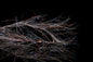 FB-660297_1of1.jpg