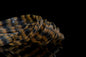 FB-676647_1of1.jpg