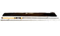 InstinctSpin2.jpg