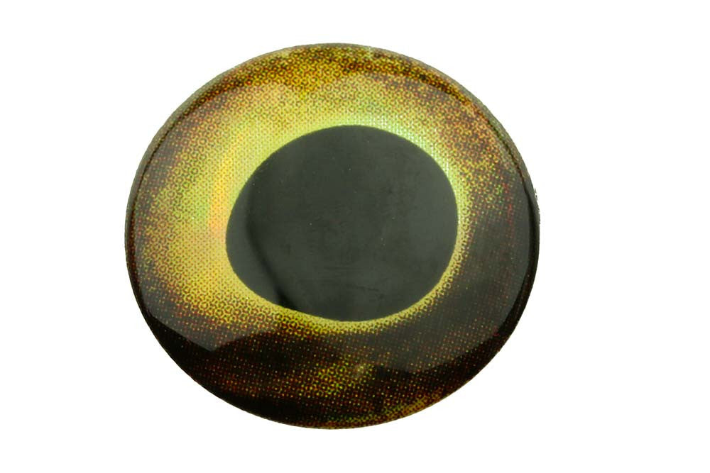 Lebende Augen – ERDE