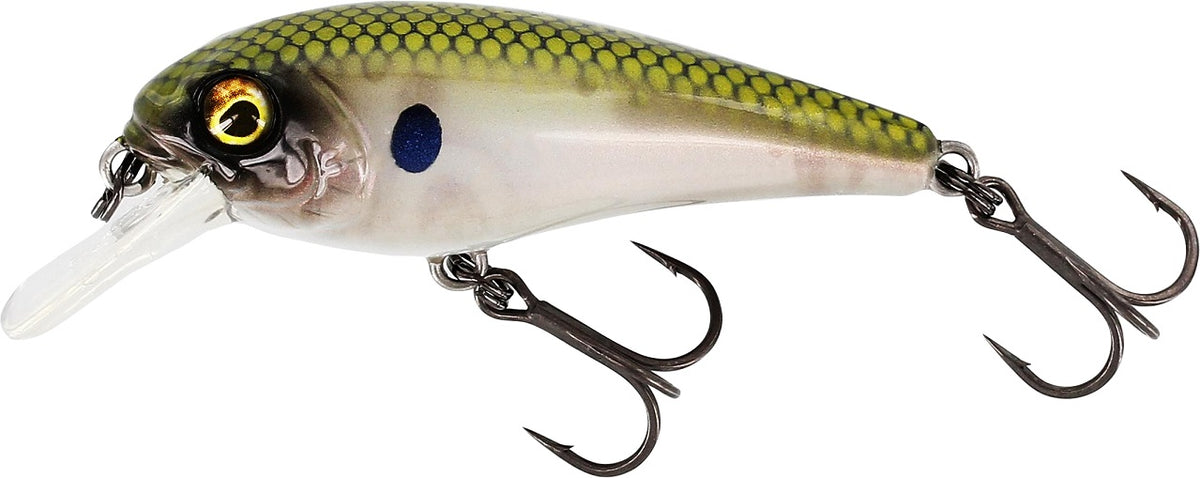 Westin BullyBite Crankbait 7cm 15g Schwimmend
