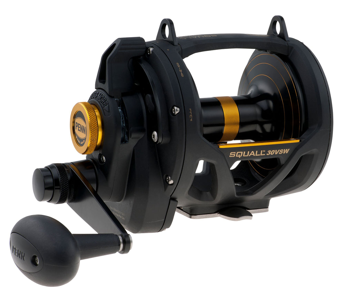 PENN Squall® Lever Drag 2 Speed â€“ PENN_Squall_Lever_Drag_2_Speed_SQL30VSW_alt1.jpg