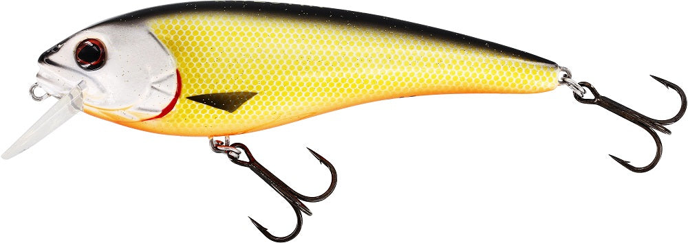 Westin Rawbite 17 cm 100 g