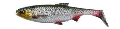 Savage Gear 3D River Roach Bulk â€“ SVS74281.jpg