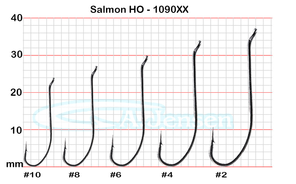 SalmonHO-1090XX.jpg
