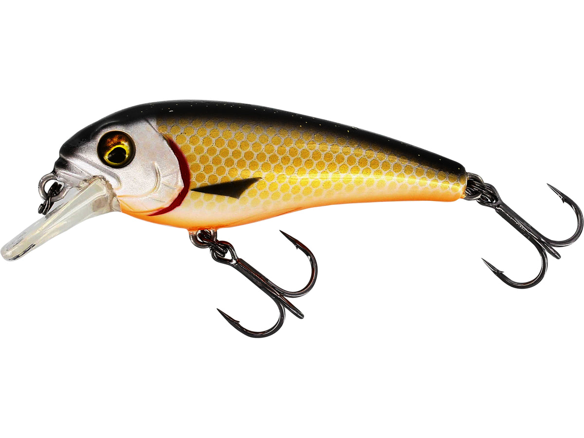 Westin BullyBite Crankbait 7cm 15g Schwimmend